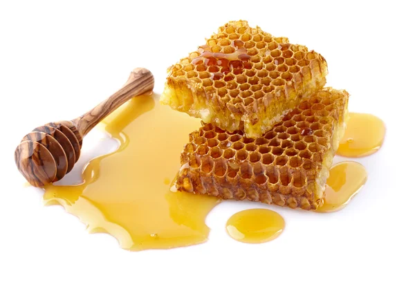 Favos de mel frescos em close-up — Fotografia de Stock
