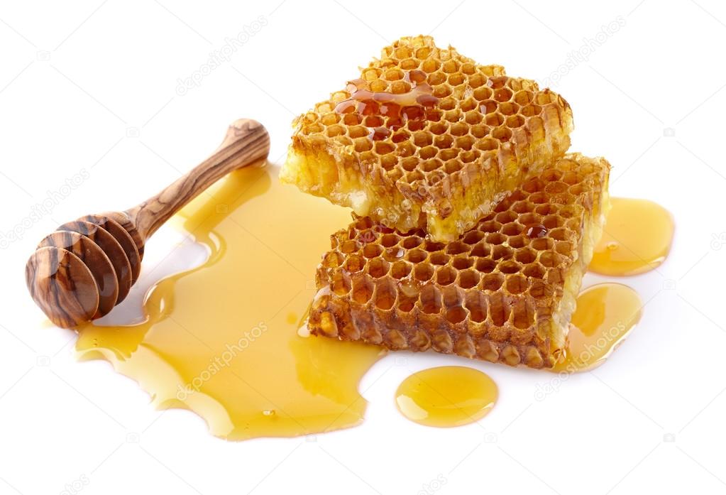 Fresh honeycombs in closeup