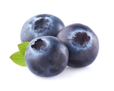 yaban mersini yaprağı