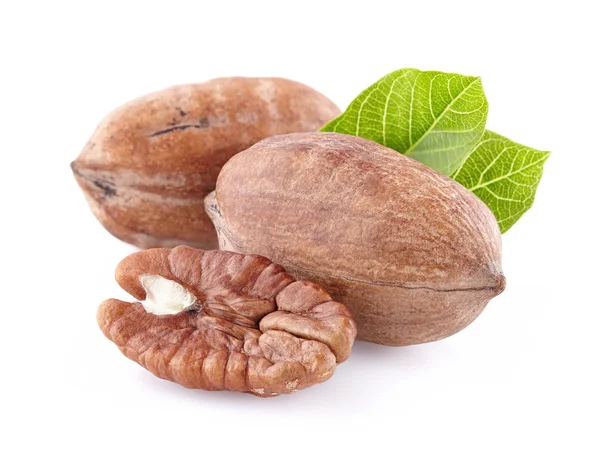 Pecan with leaves — Stock Photo, Image
