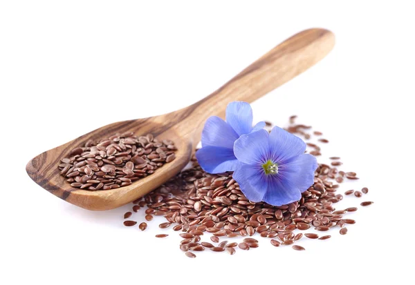 Flax seeds with flowers in closeup — Stock Photo, Image