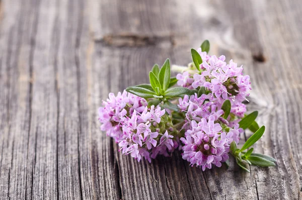 Flores de tomillo sobre fondo de madera — Foto de Stock