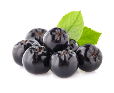 chokeberry closeup içinde