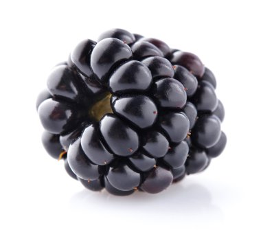 bir olgun böğürtlen