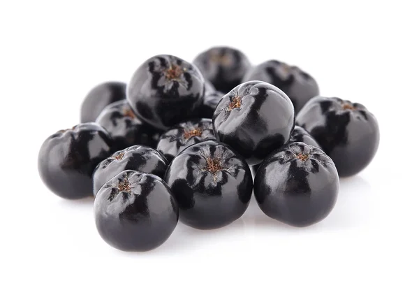 Chokeberry em close-up — Fotografia de Stock