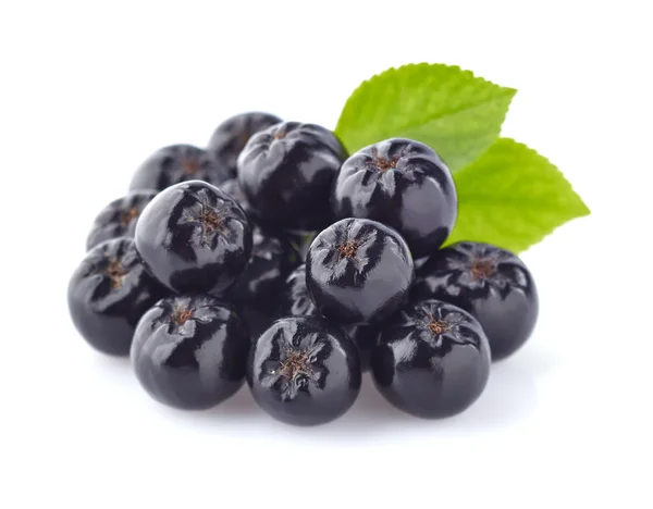 Chokeberry с листьями — стоковое фото