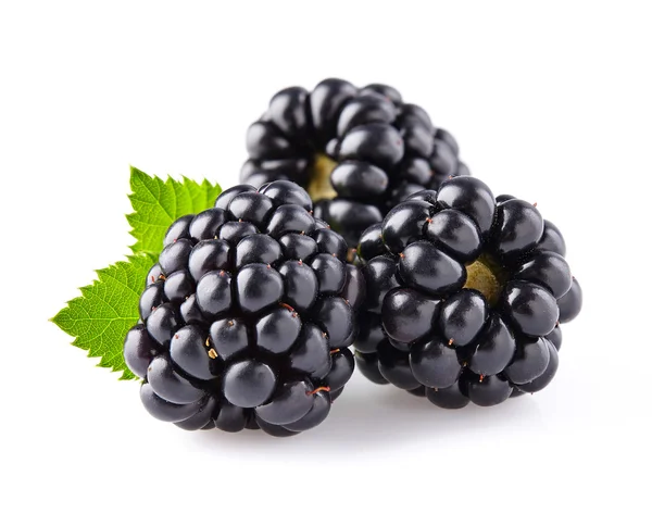 Blackberries with leaves Stock Image