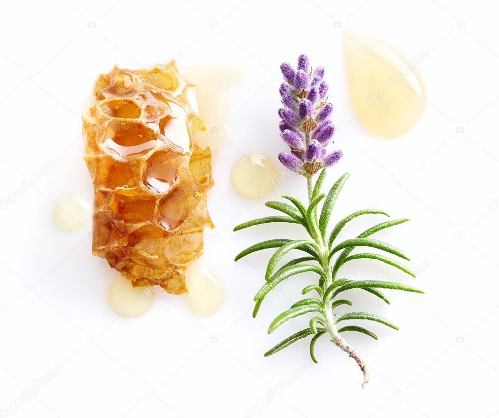 Lavender plant with honeycomb on white background