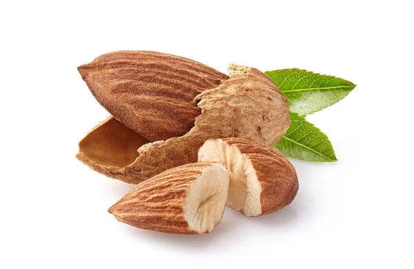 Almonds Kernel Leaf Closeup — Stock Photo, Image