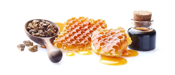 Honeycombs Propolis Tincture White Background — Stock Photo, Image