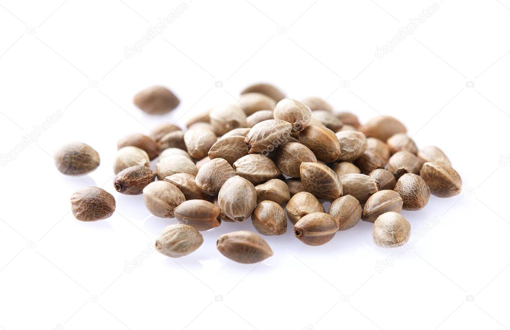Hemp seeds in closeup on white background