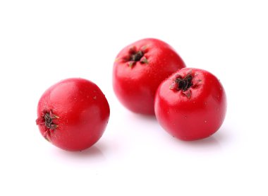 Hawthorn içinde closeup