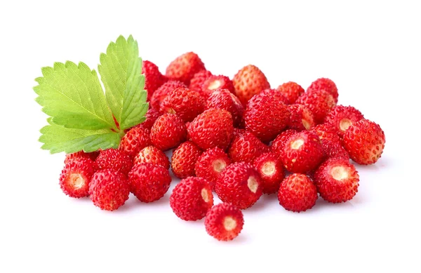 Wild strawberry — Stock Photo, Image