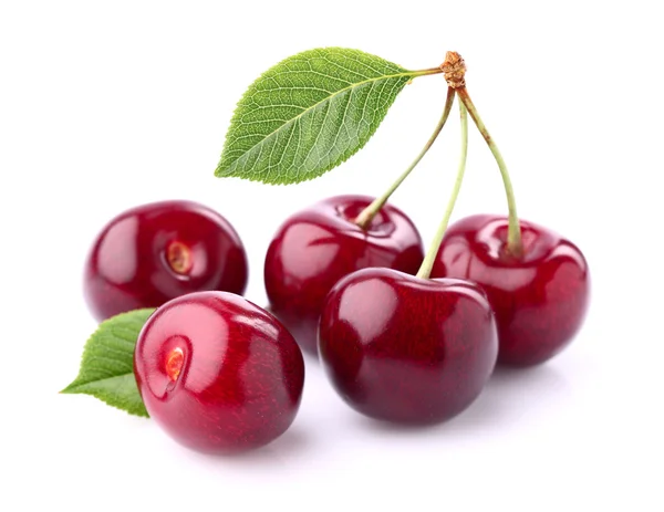 Sweet cherry Royaltyfria Stockbilder