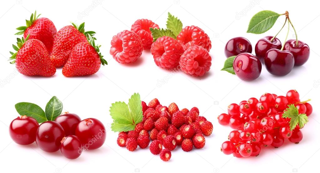 Red berries 