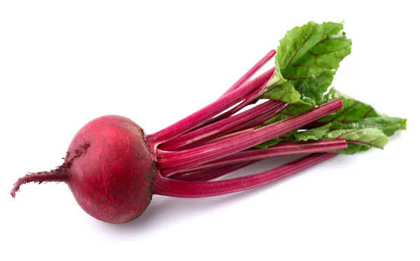 Fresh beet — Stock Photo, Image