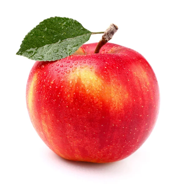 Una manzana — Foto de Stock