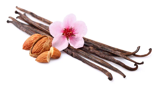 Vanilla with almonds — Stock Photo, Image