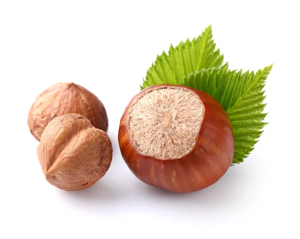 Hazelnuts in closeup — Stock Photo, Image