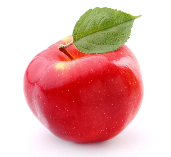 Manzana roja con hoja — Foto de Stock