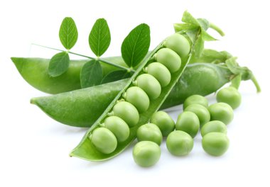 Green peas with leaves clipart