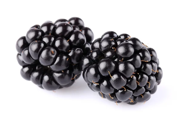 Blackberry in closeup — Stock Photo, Image