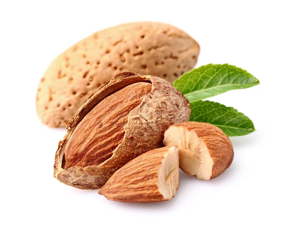 Noyau d'amandes — Photo