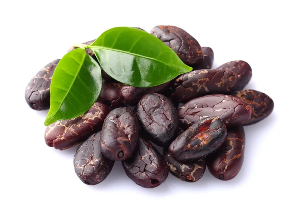 Haricots de cacao aux feuilles — Photo