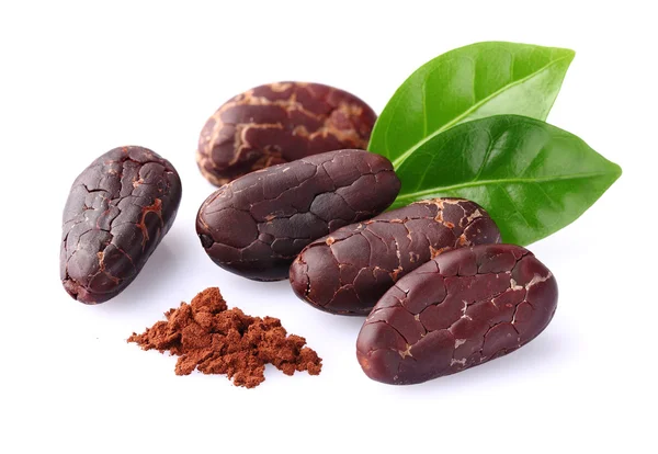 Cacao beans with cacao powder — Stock Photo, Image