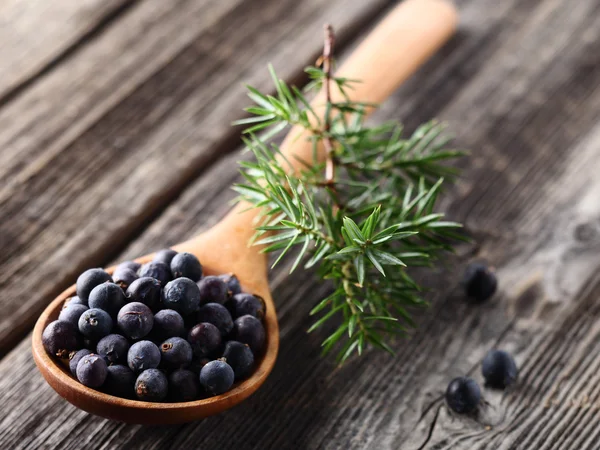 Juniper berries on a wooden background — Stock Photo, Image