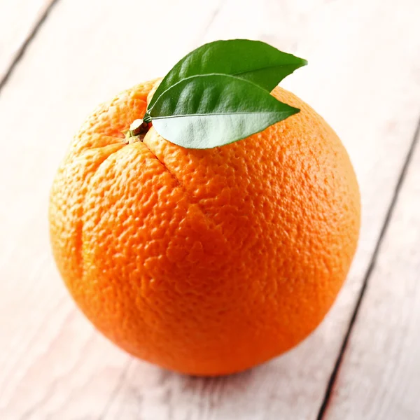 One ripe orange fruit — Stock Photo, Image