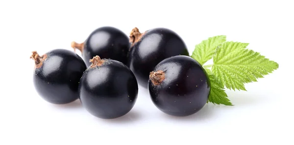 Blackcurrant with leaf — Stock Photo, Image