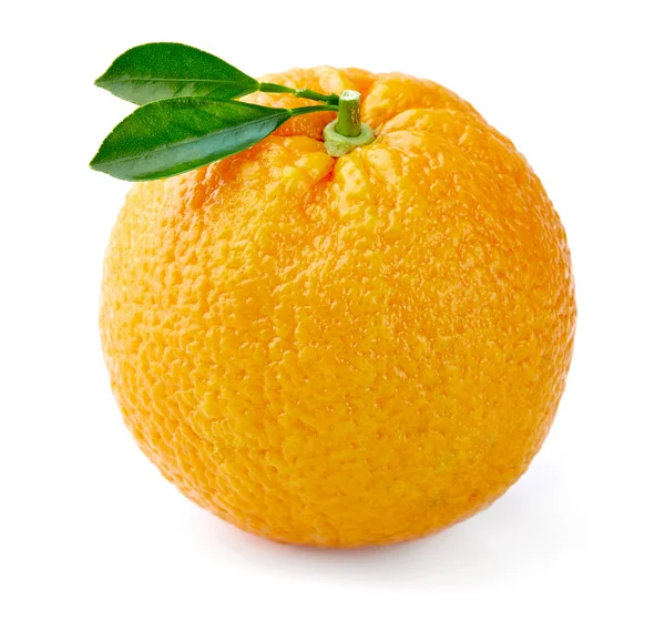 Спелый апельсин — стоковое фото