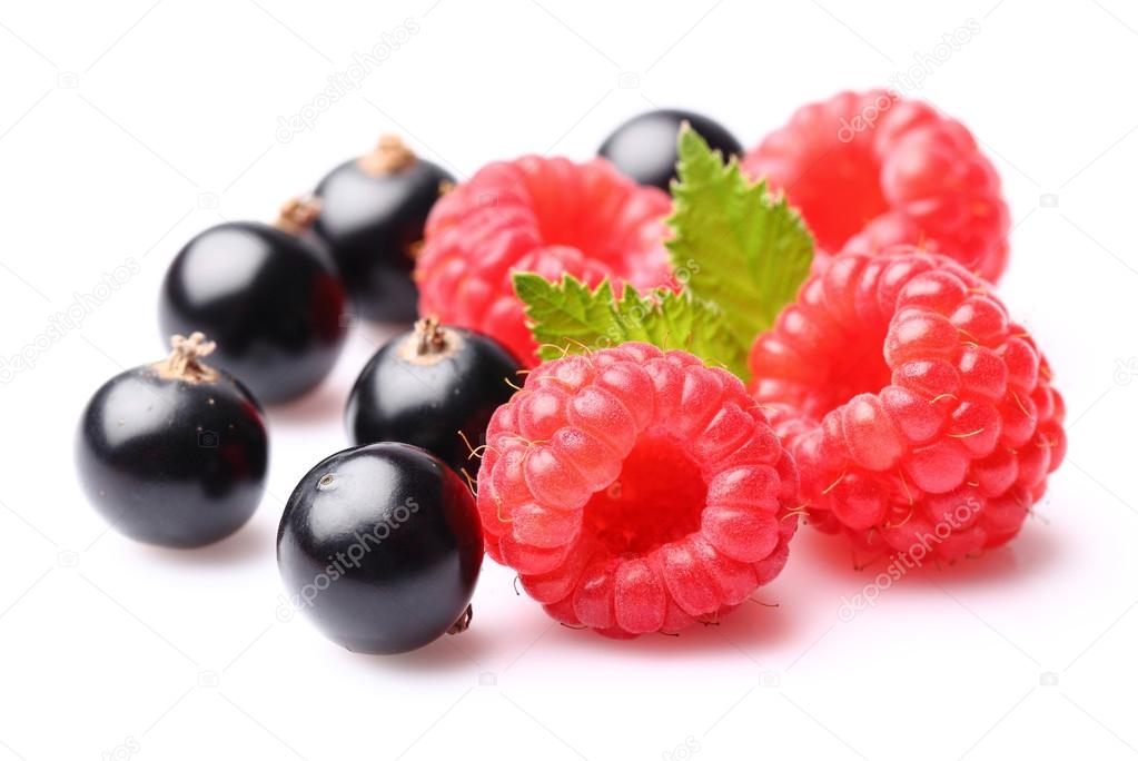 Raspberry with currant