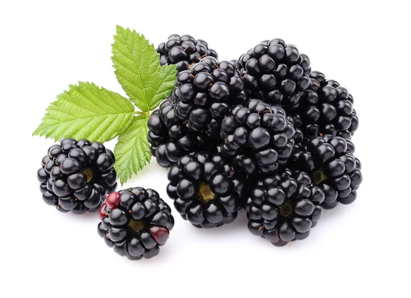 Blackberry with leaves — Stock Photo, Image