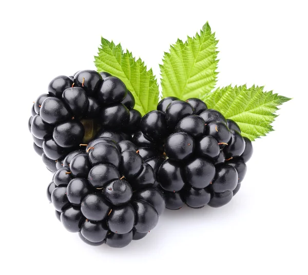 Blackberry con hojas —  Fotos de Stock