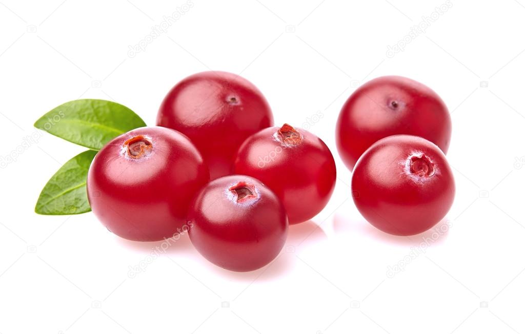 Cranberry with leaf