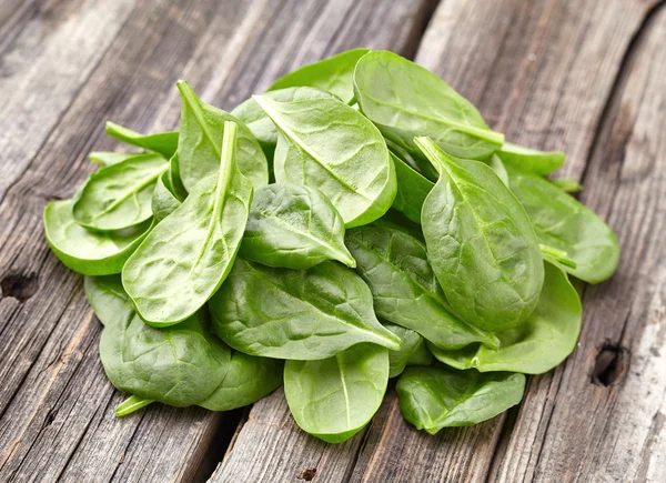 Young spinach leaves — Stock Photo, Image