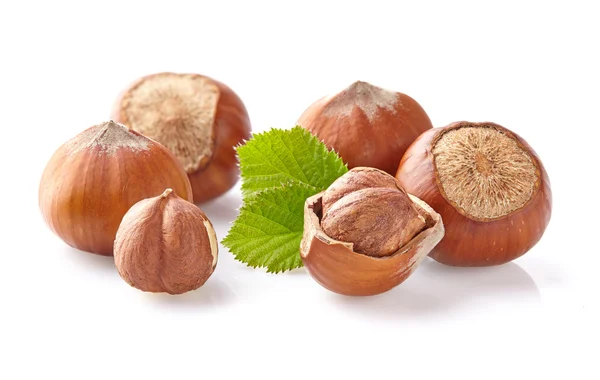 Hazelnuts kernel — Stock Photo, Image