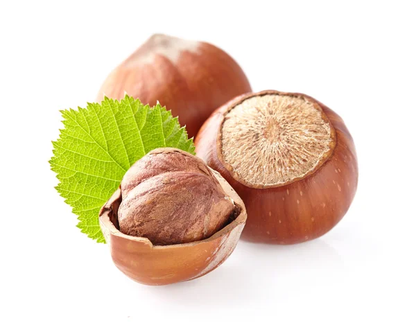 Hazelnuts — Stock Photo, Image