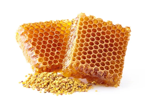 Honungskaka med pollen — Stockfoto