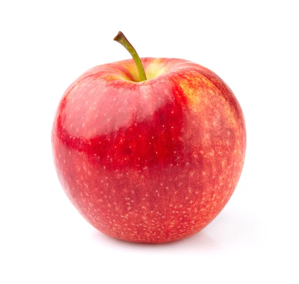 Ein Apfel — Stockfoto