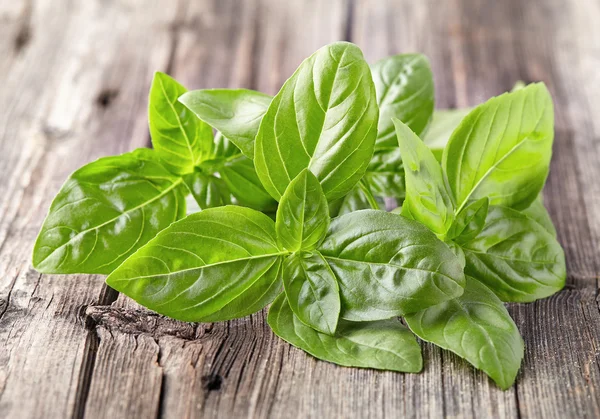 Basil leaves on a wooden background — Stock Photo, Image
