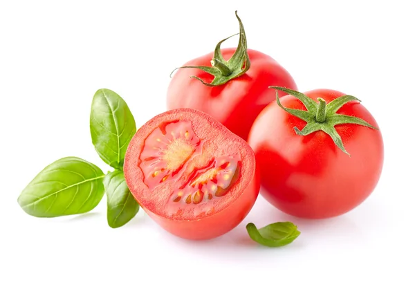 Tomate con albahaca — Foto de Stock