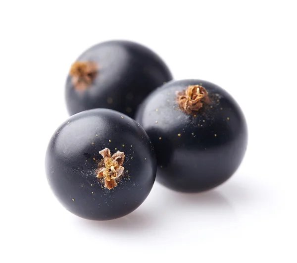 Zwarte bessen in close-up — Stockfoto