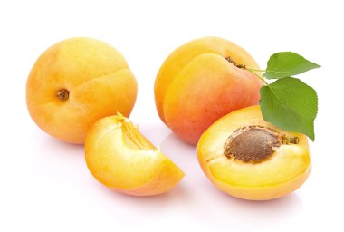 Kayısı closeup içinde