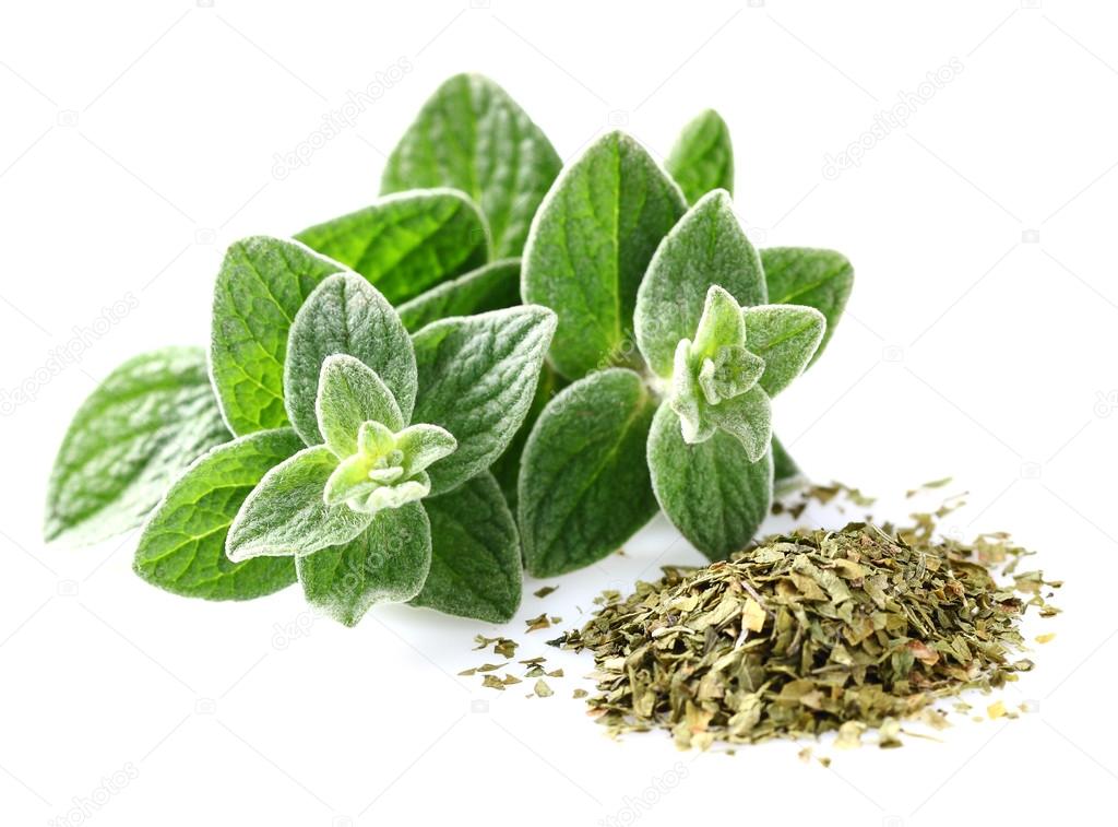 Oregano Stock Photo by ©Dionisvera 81750516