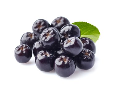 Aronia closeup içinde