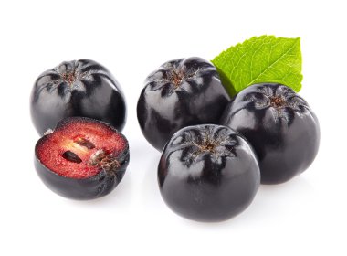 chokeberry closeup içinde