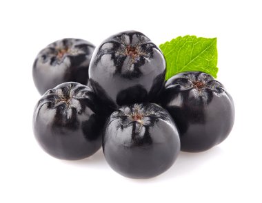 chokeberry closeup içinde